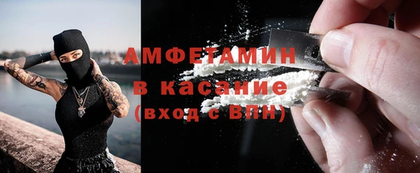 сатива Покачи