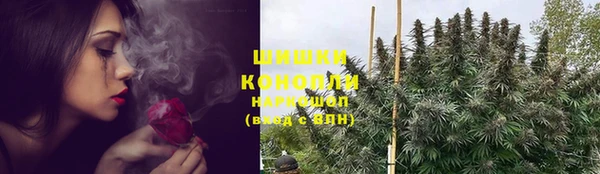 сатива Покачи