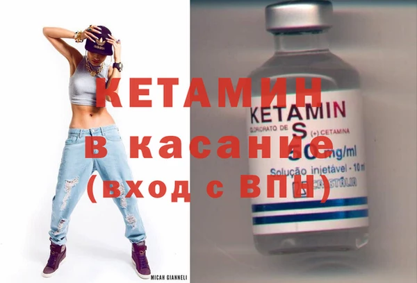 сатива Покачи