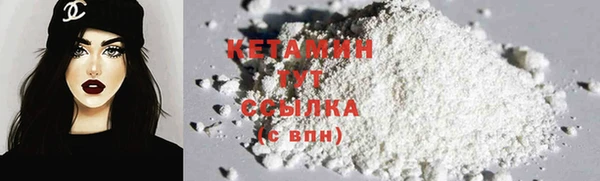 сатива Покачи
