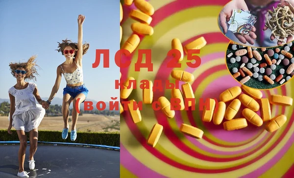 крисы Вязники